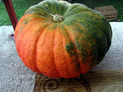 1176795 (a): :2560x1920